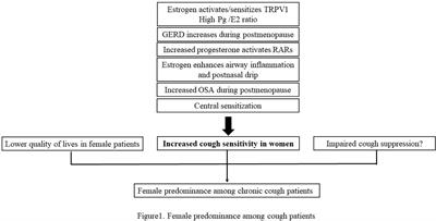 Gender Difference in Chronic Cough: Are Women More Likely to Cough?